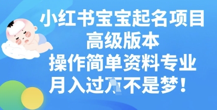 小红书宝宝起名项目高级版本，操作简单，资料专业，月入过W-极光库
