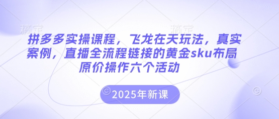 拼多多实操课程，飞龙在天玩法，真实案例，直播全流程链接的黄金sku布局原价操作六个活动-极光库