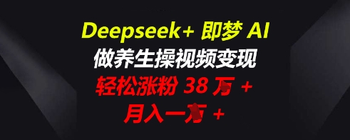Deepseek+即梦AI，做养生操视频变现，轻松涨粉38W+，月入一W+-极光库