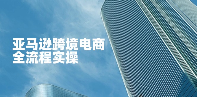 （14252期）亚马逊跨境电商全流程实操，教你从零开始，掌握店铺运营与广告技巧-极光库