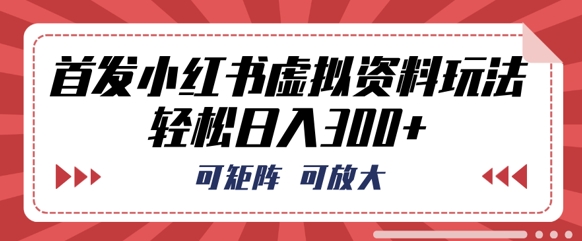首发小红书虚拟资料玩法，可矩阵，可放大，轻松日入3张-极光库