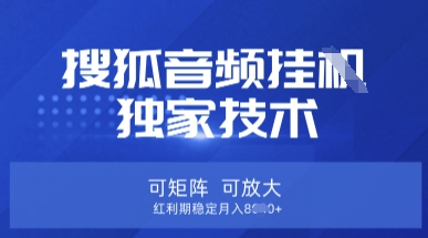 【搜狐音频挂G】独家技术，可矩阵可放大，红利期稳定月入8k【揭秘】-极光库