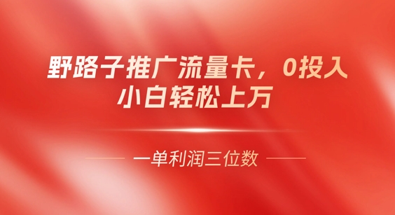 0门槛推广流量卡，一单收益上百，0投入，小白月入过W-极光库