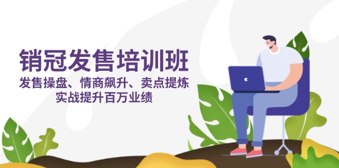 （14203期）销冠 发售培训班：发售 操盘+情商 飙升+卖点 提炼，实战提升百万业绩-极光库