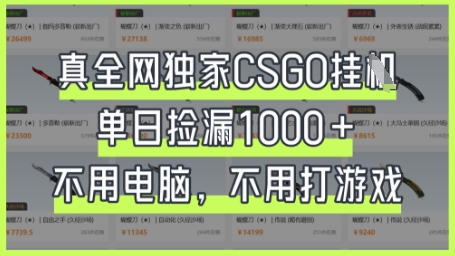 真全网独家CSGO挂G，单日捡漏1k+【揭秘】-极光库