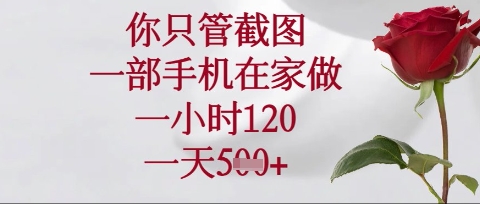 你只管截图，一部手机在家操作，一小时120.一天5张【揭秘】-极光库